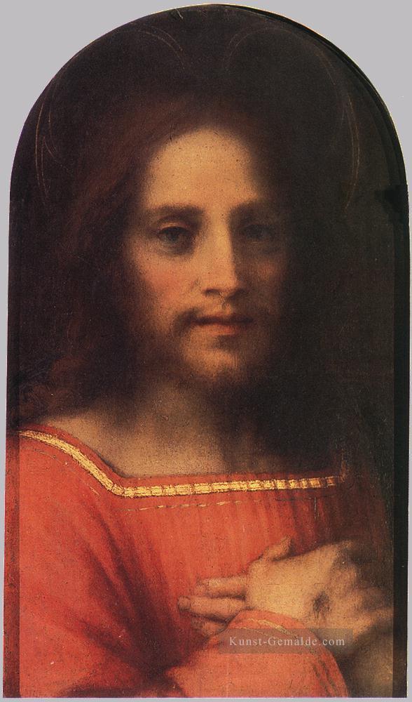 Christus der Erlöser Renaissance Manierismus Andrea del Sarto Ölgemälde